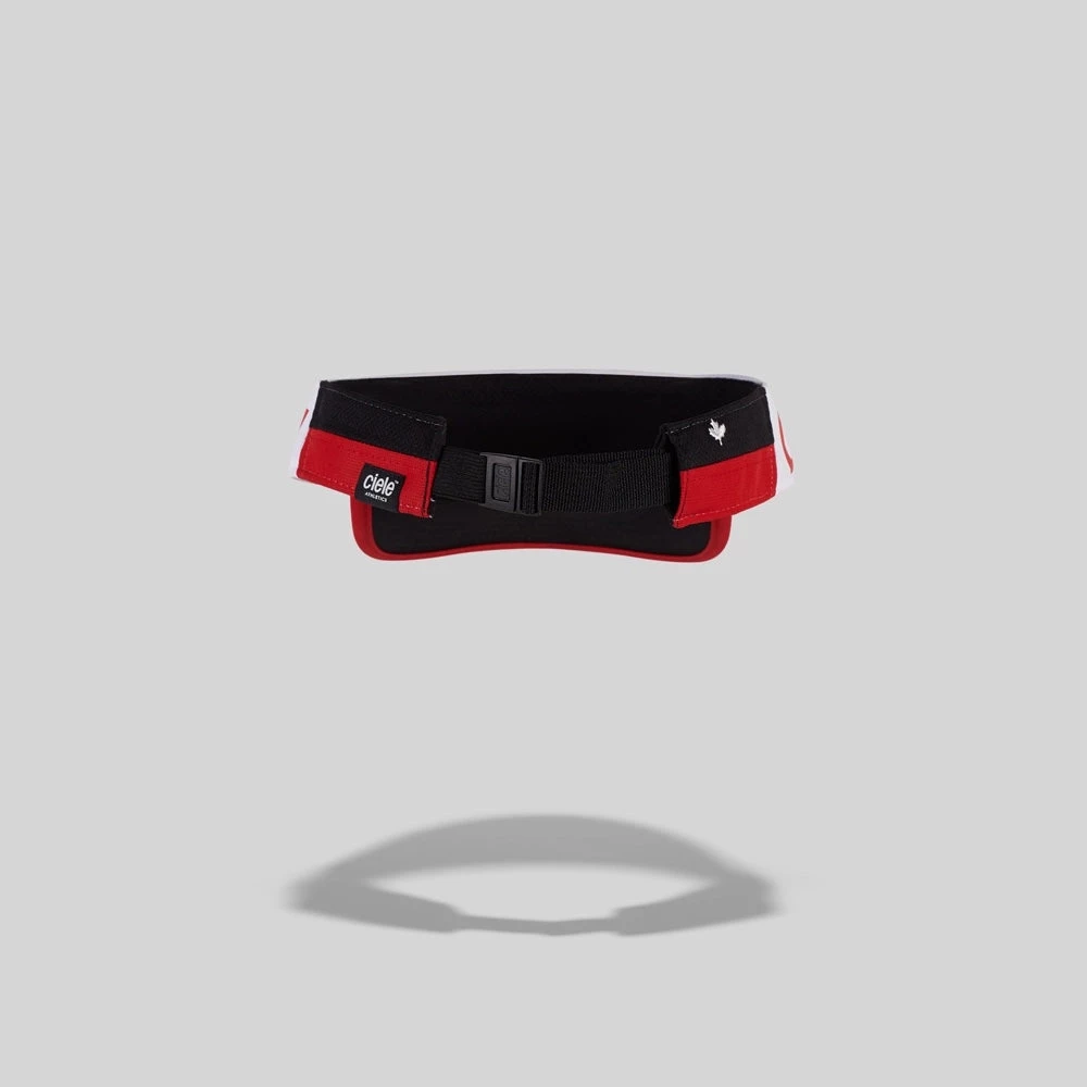 CIELE RPDVisor - Canada