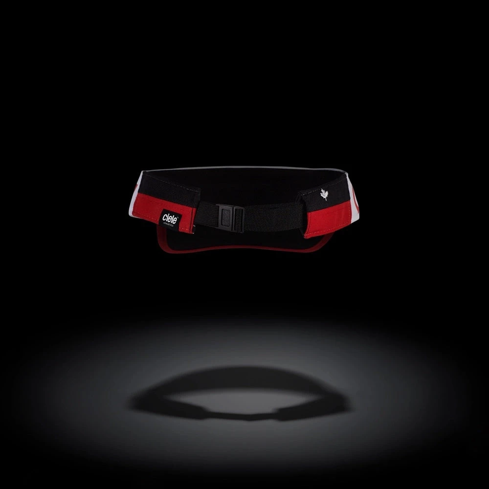 CIELE RPDVisor - Canada