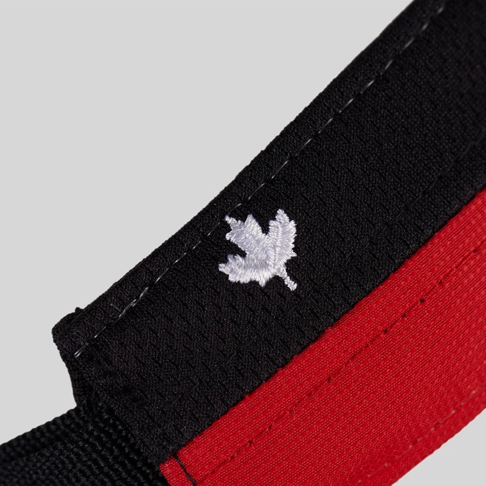 CIELE RPDVisor - Canada