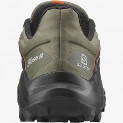 SALOMON Wildcross 2 Gore-Tex - Men's