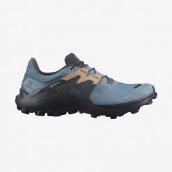 SALOMON Wildcross 2 Gore-Tex - Women's