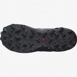 SALOMON Wildcross 2 Gore-Tex - Women's